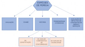 Quais as diferenças entre inspeção, perícia e vistoria