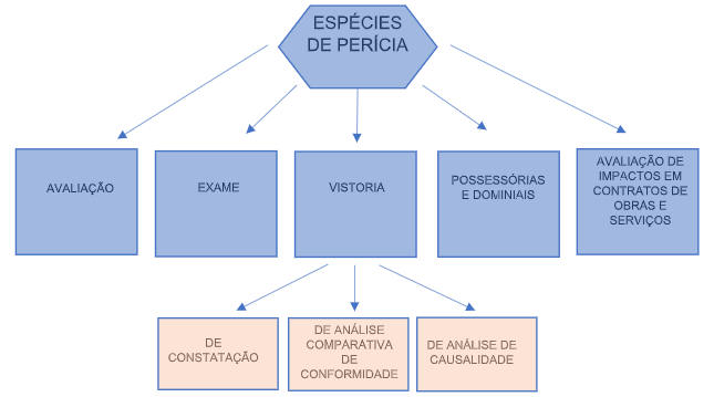 Quais as diferenças entre inspeção, perícia e vistoria